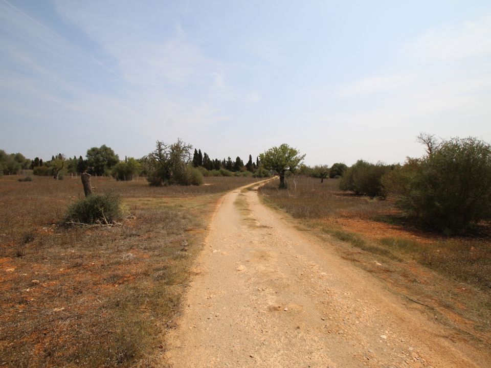 Terreno en Llucmajor, Mallorca - foto 4