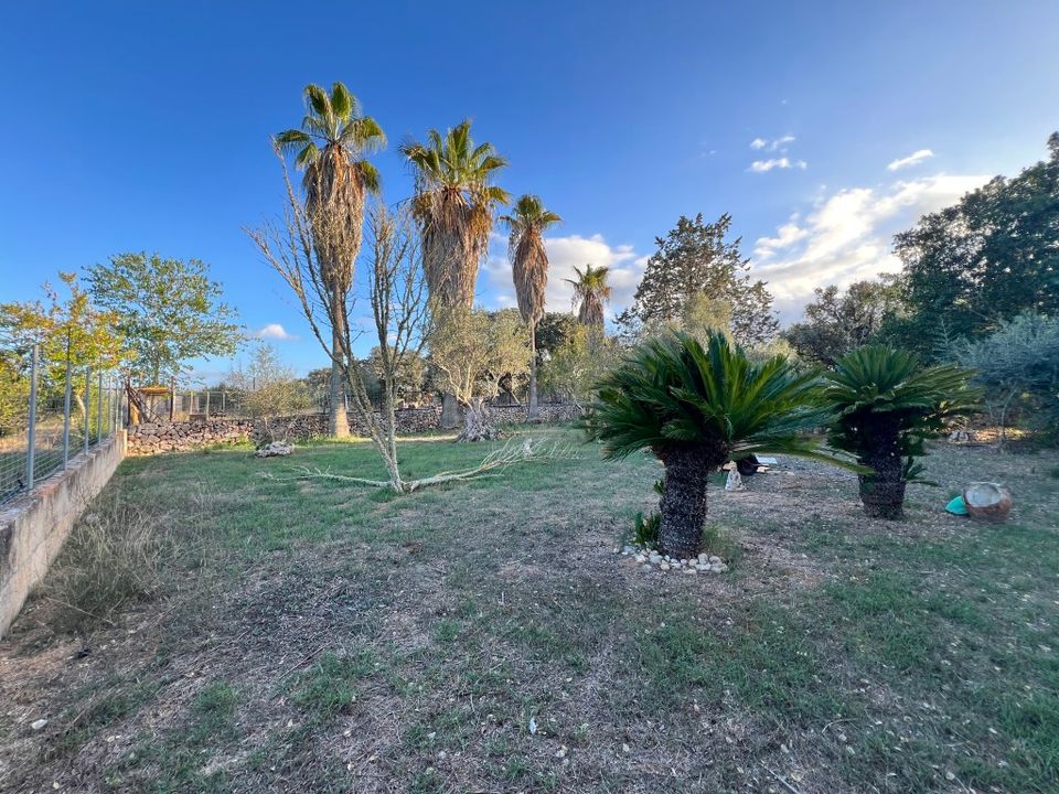Villa i Costitx, Mallorca - foto 5
