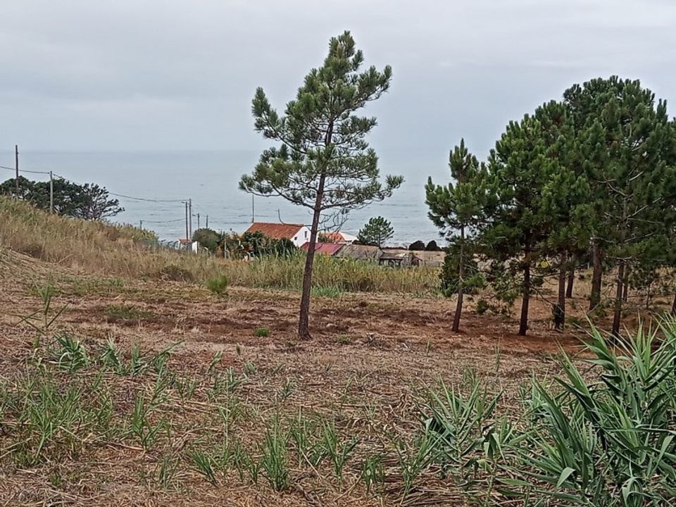 Rækkehus i Nazare, Leiria - foto 1