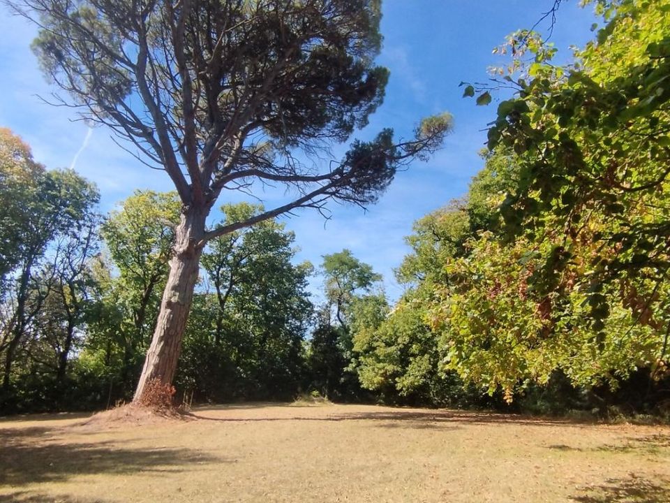 Villa i Castelnaudary, Aude - foto 3
