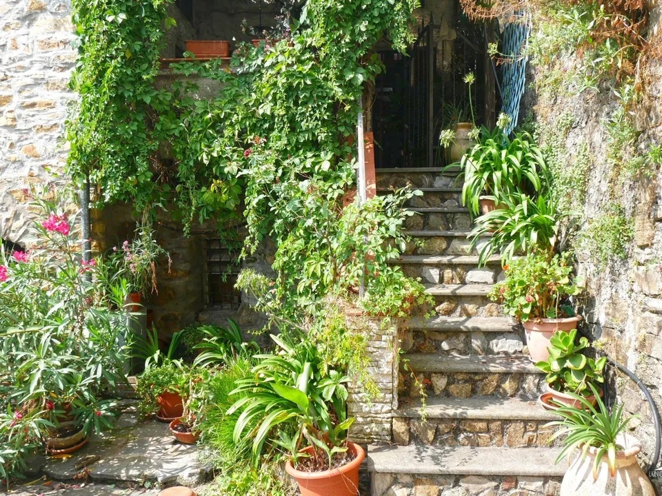 Herregård i Fivizzano, Massa and Carrara - bilde 3