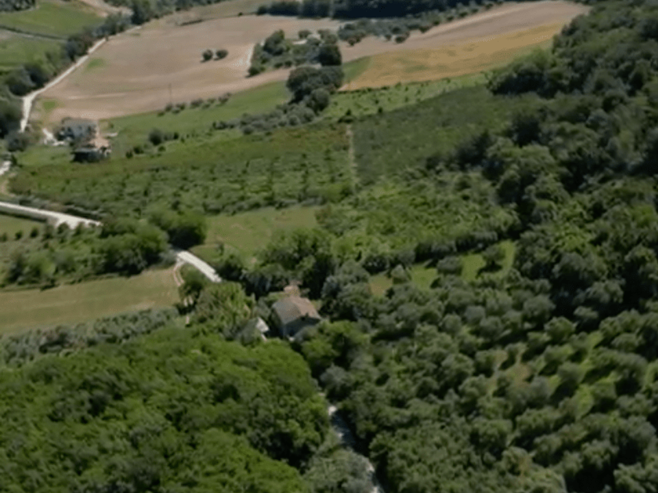 Villa i Campofilone, Fermo - bilde 4