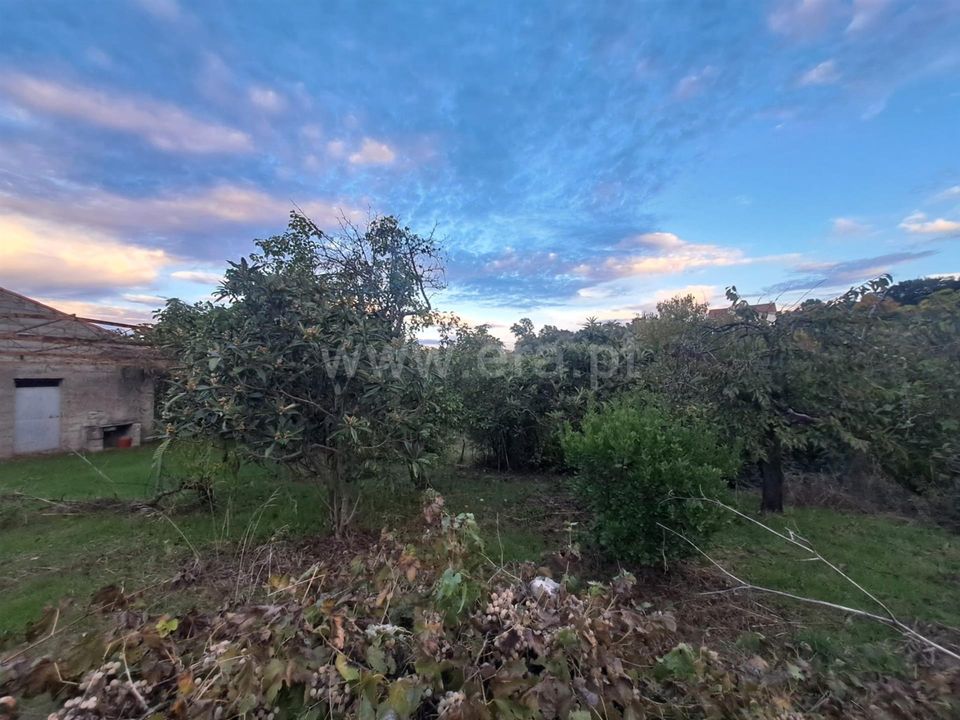 Helårsgrund i Fundao, Castelo Branco - foto 4