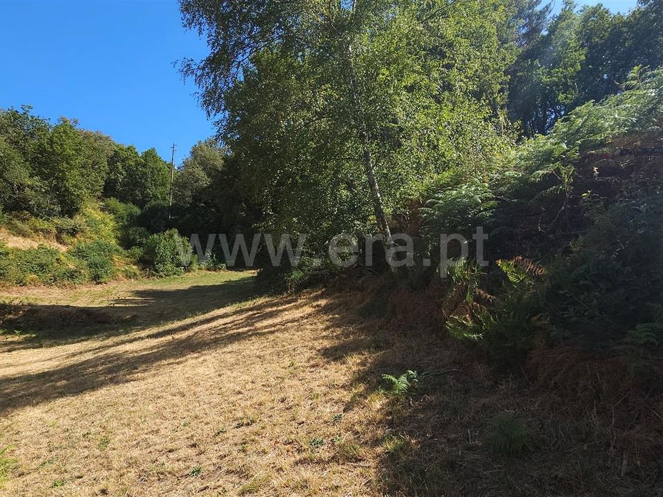 Helårsgrund i Montalegre, Vila Real - foto 1