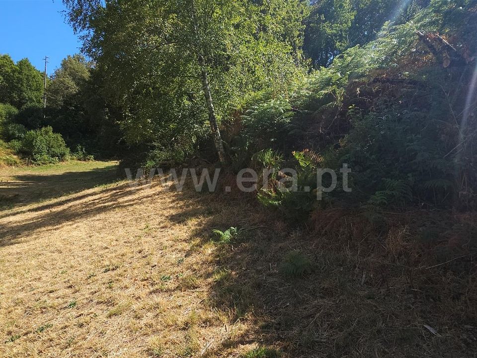 Helårsgrund i Montalegre, Vila Real - foto 2