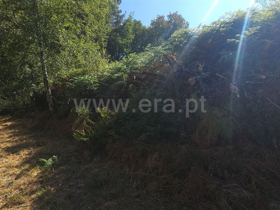 Helårsgrund i Montalegre, Vila Real - foto 3