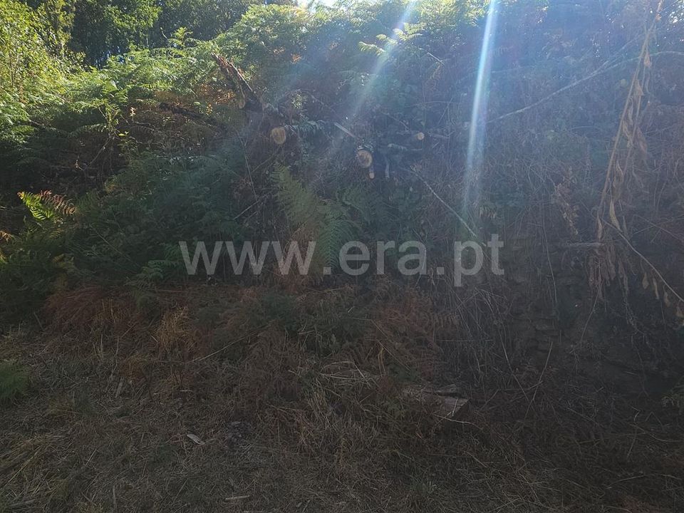 Helårsgrund i Montalegre, Vila Real - foto 4