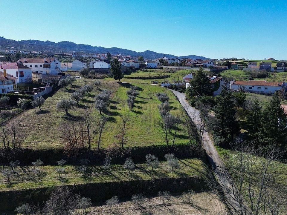Helårsgrund i Ferro, Castelo Branco - foto 5
