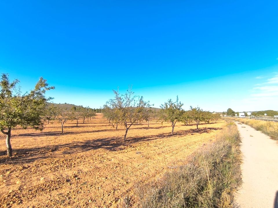 Helårsgrund i Yecla, Murcia - foto 2
