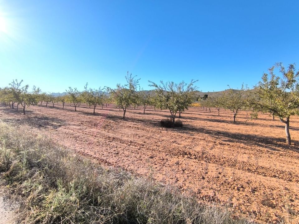 Helårsgrund i Yecla, Murcia - foto 3
