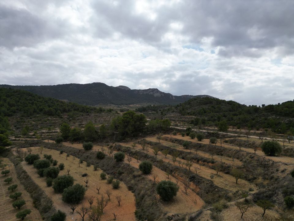 Tomt i La Zarza, Murcia - bilde 1