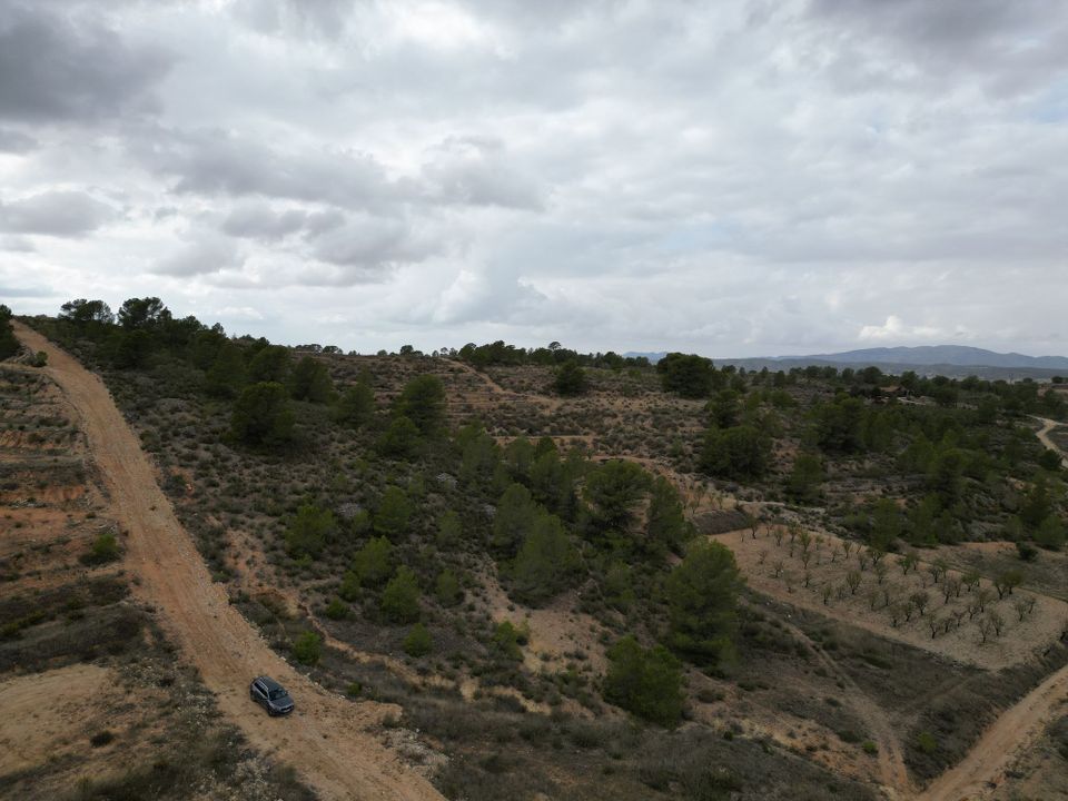 Tomt i La Zarza, Murcia - bilde 2