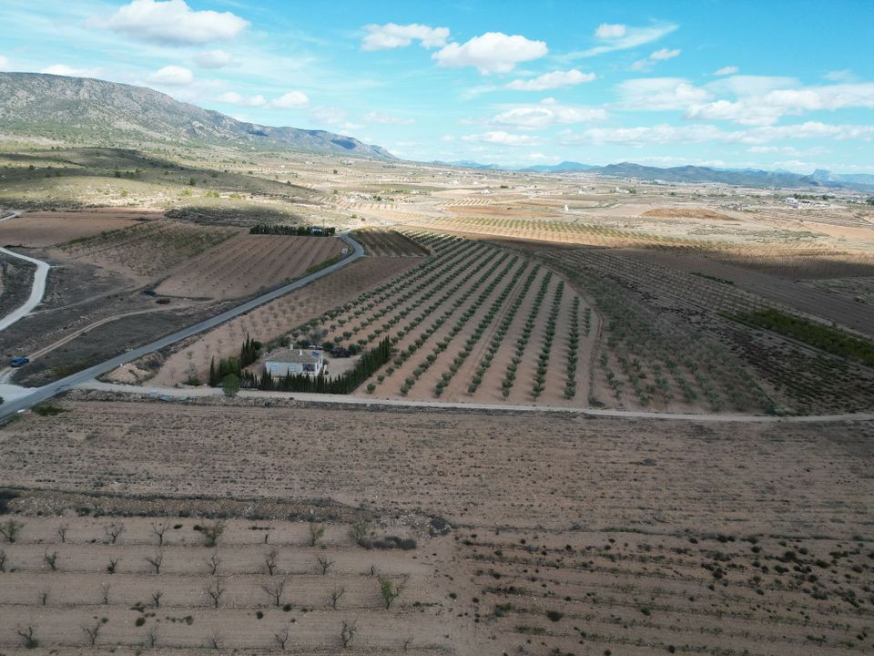 Helårsgrund i Pinoso, Alicante - foto 2