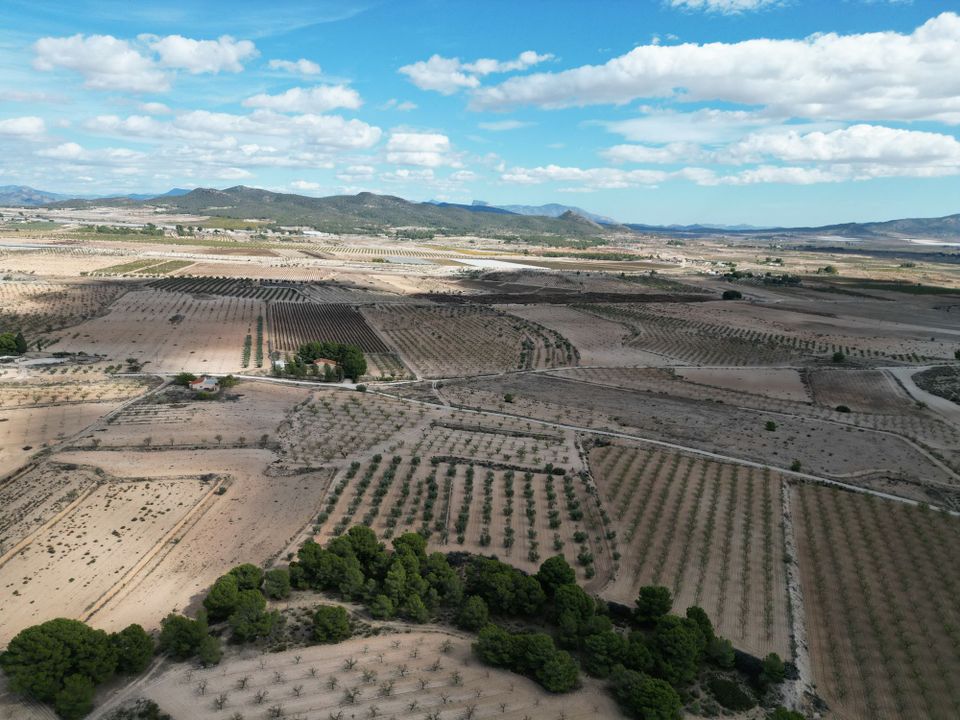 Helårsgrund i Pinoso, Alicante - foto 3