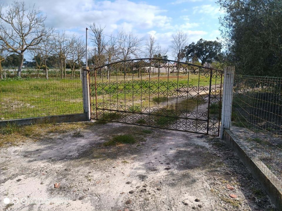 Helårsgrund i Salvaterra de Magos, Santarem - foto 1
