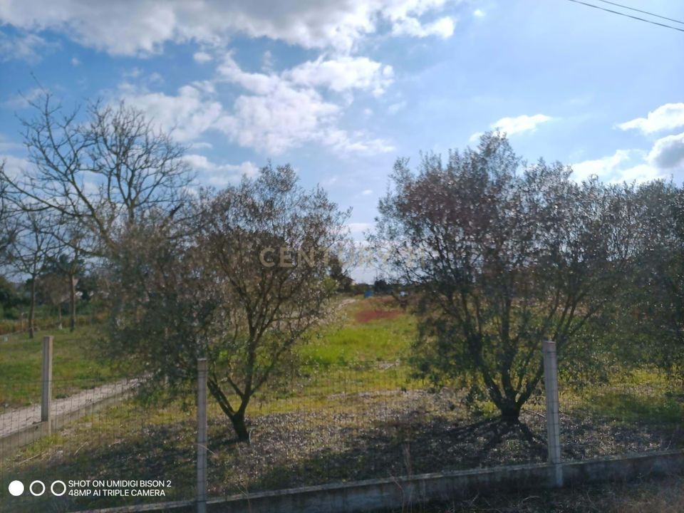 Helårsgrund i Salvaterra de Magos, Santarem - foto 3