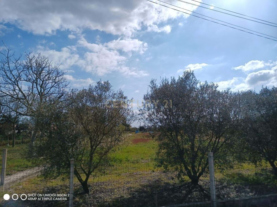 Helårsgrund i Salvaterra de Magos, Santarem - foto 5
