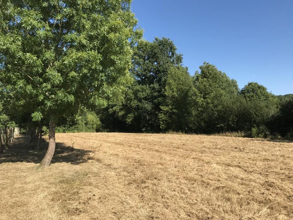 Helårsgrund i Saint-Nexans, Dordogne - foto 1