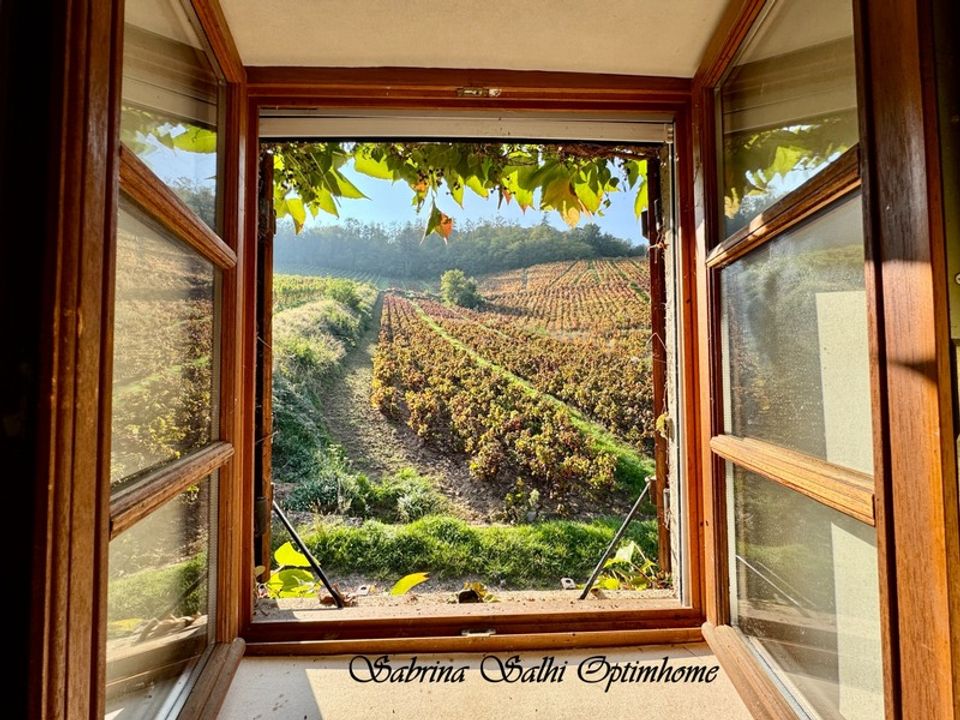 Villa i Chénas, Rhone - foto 1