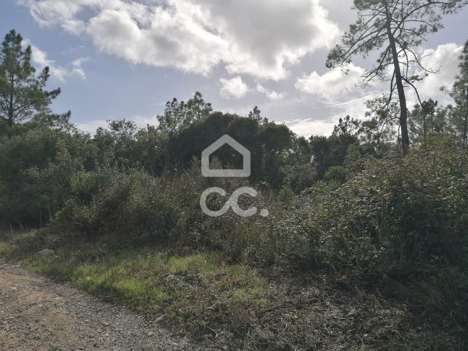 Helårsgrund i Obidos, Leiria - foto 5