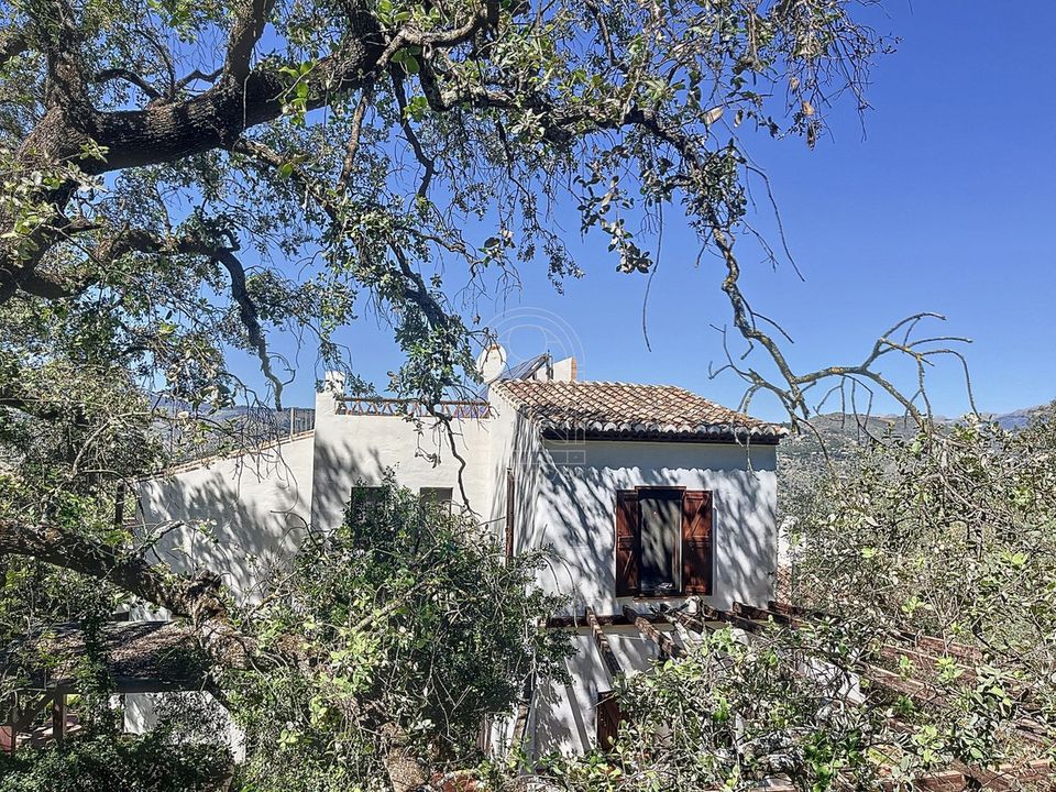 Cortijo i Comares, Malaga - foto 4