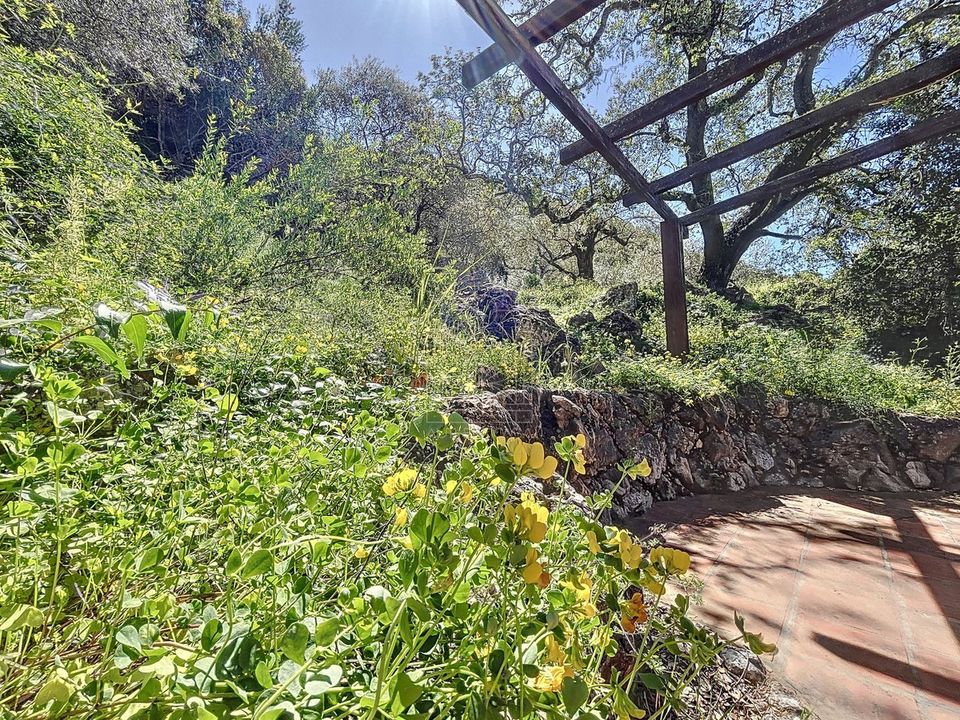 Cortijo i Comares, Malaga - foto 5