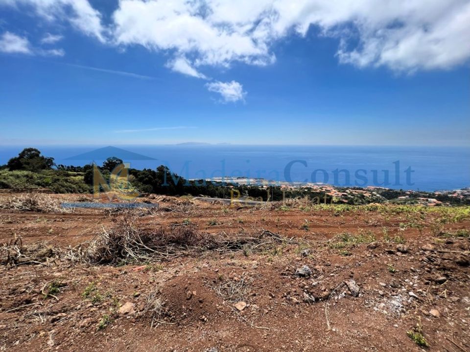Helårsgrund i Santa Cruz, Madeira - foto 5