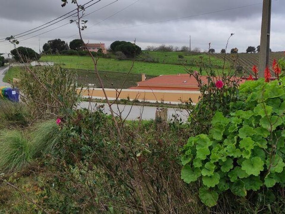 Terra a Alenquer, Lisbon - foto 2