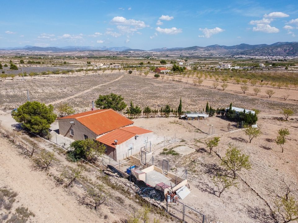 Landejendom i Jumilla, Murcia - foto 1