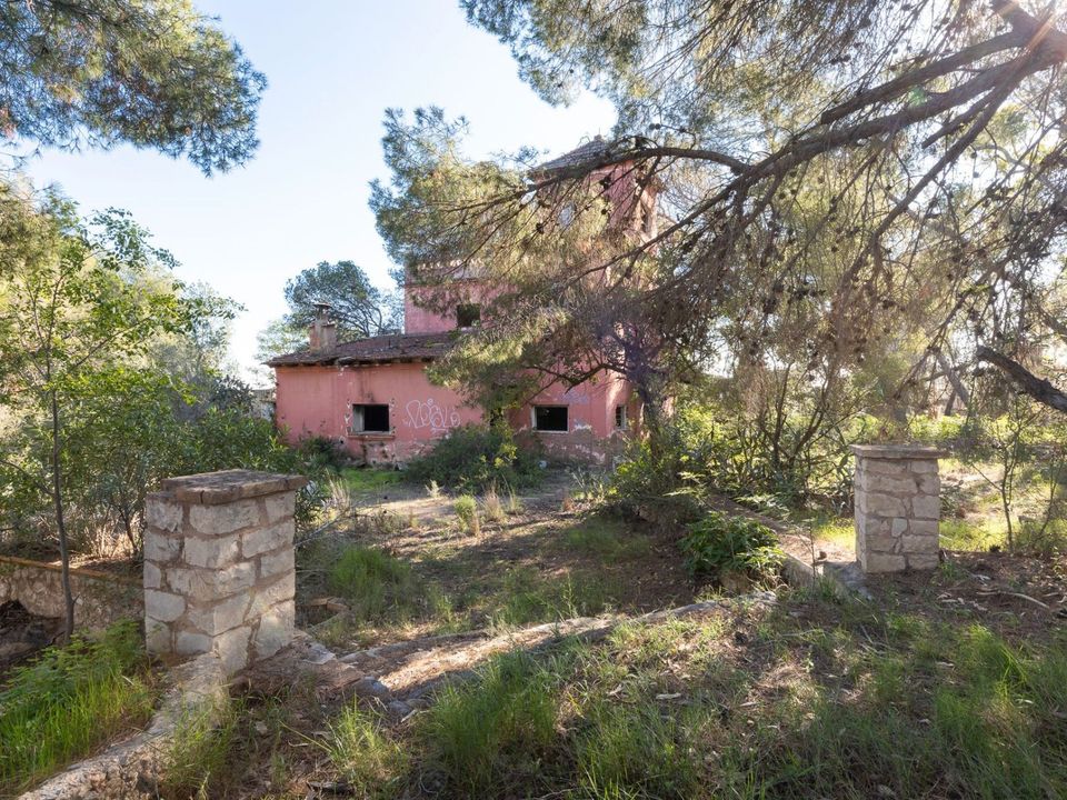 Helårsgrund i Campo Olivar, Valencia - foto 2