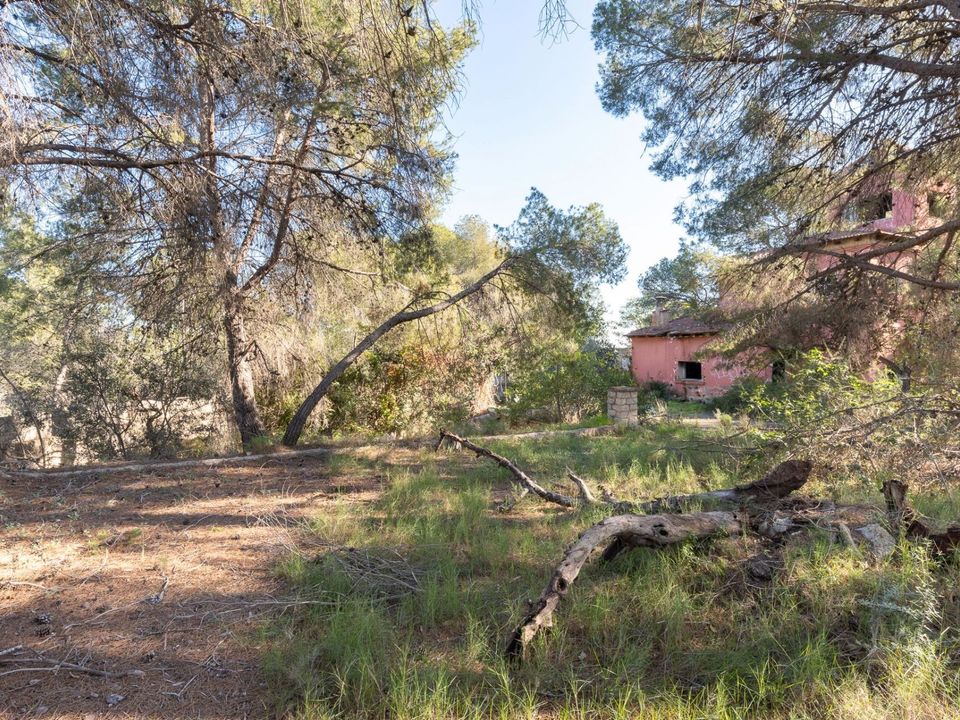 Helårsgrund i Campo Olivar, Valencia - foto 4