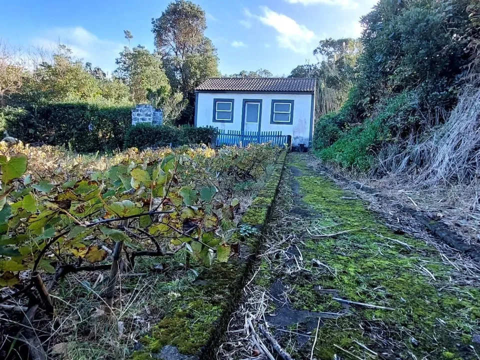 Farm i Horta, Faial - foto 1