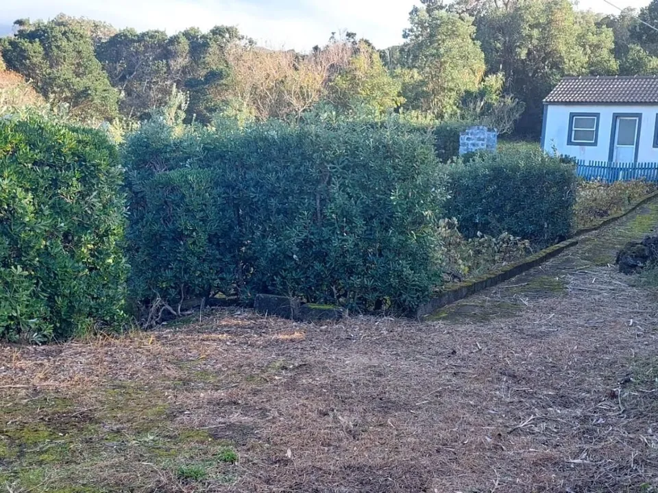 Farm i Horta, Faial - foto 2