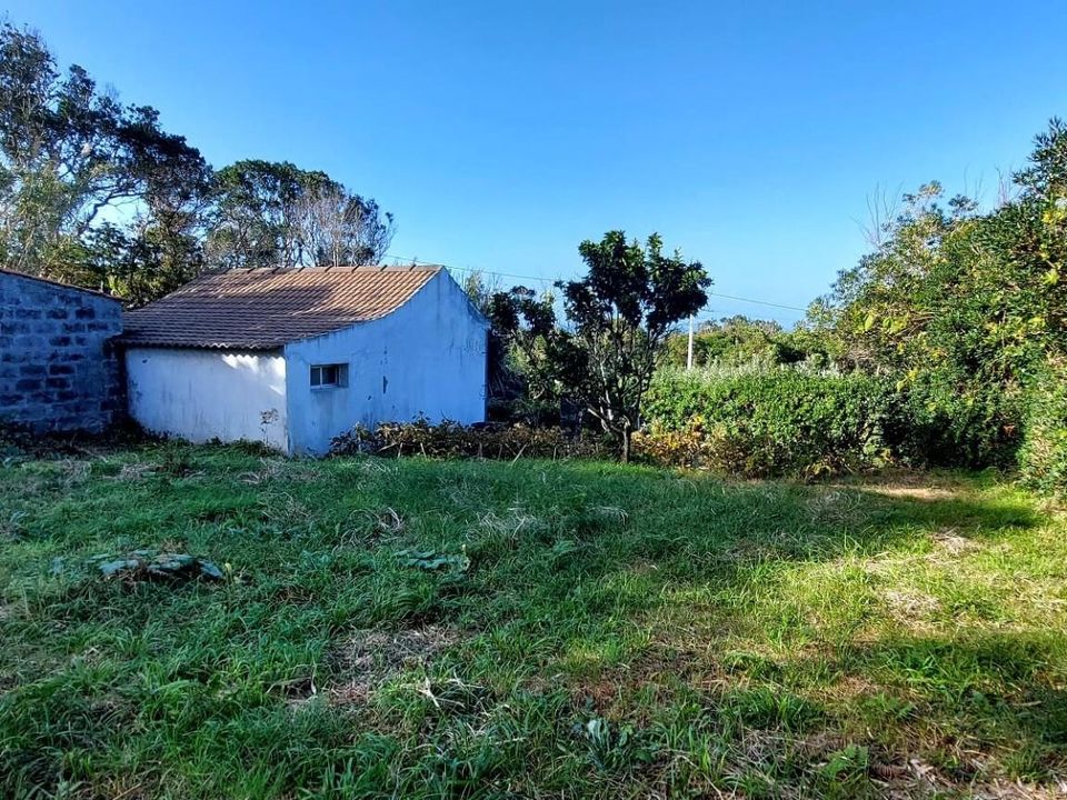 Farm i Horta, Faial - foto 3