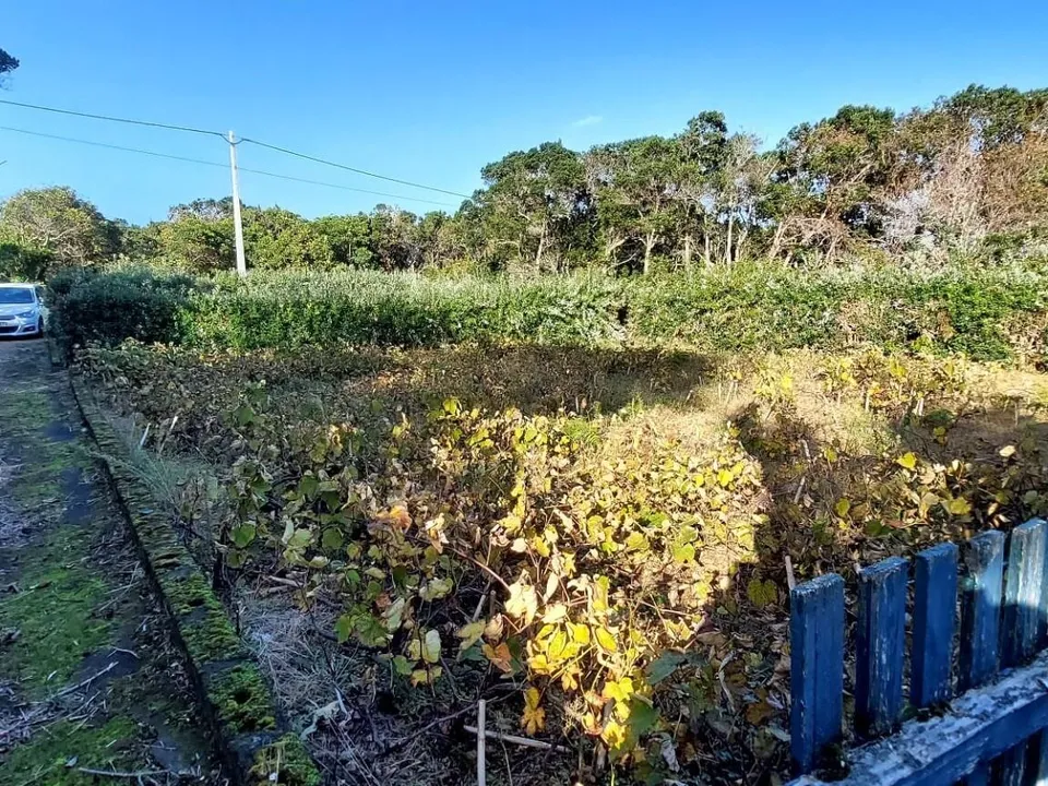 Farm i Horta, Faial - foto 4