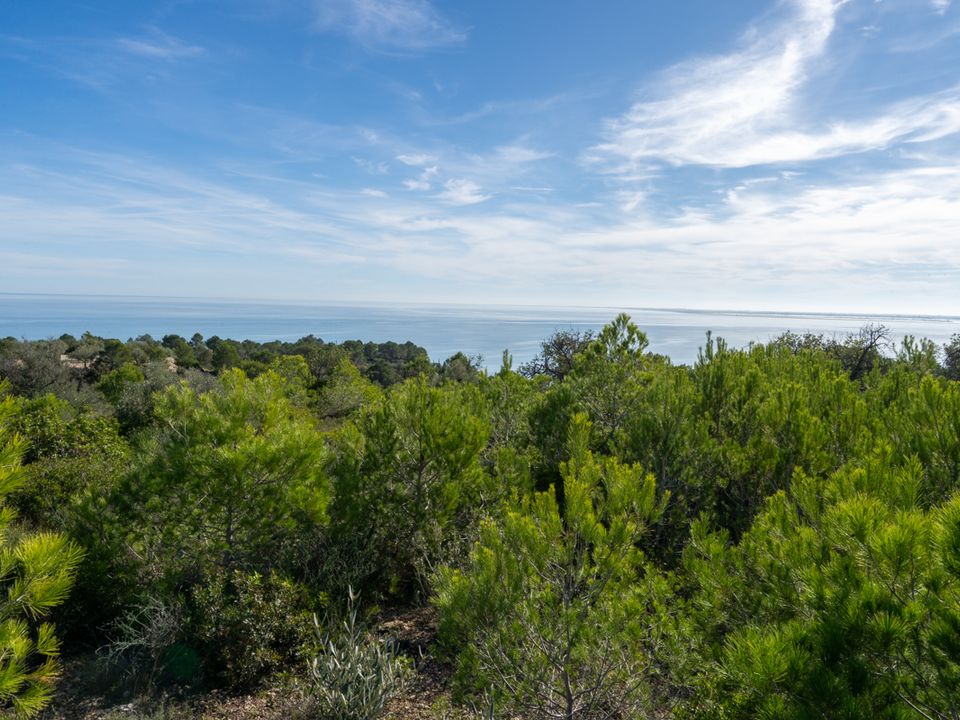 Finca i El Perello, Tarragona - foto 2