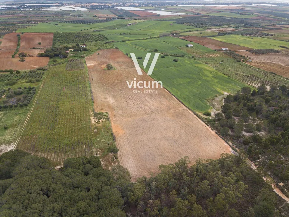Villa i Niebla, Huelva - foto 2