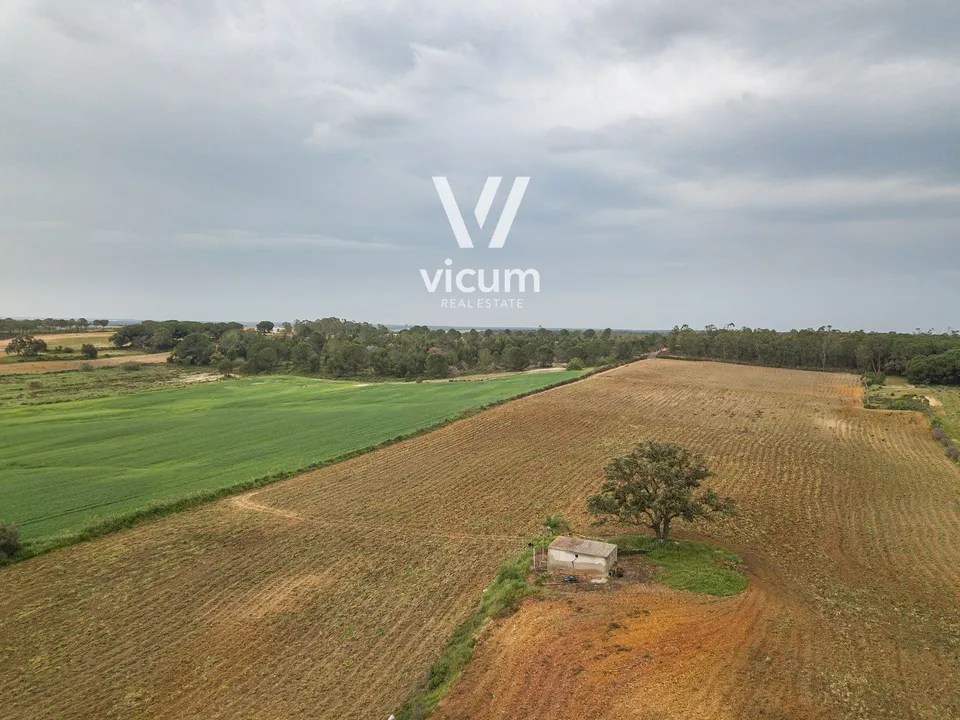 Villa i Niebla, Huelva - foto 1