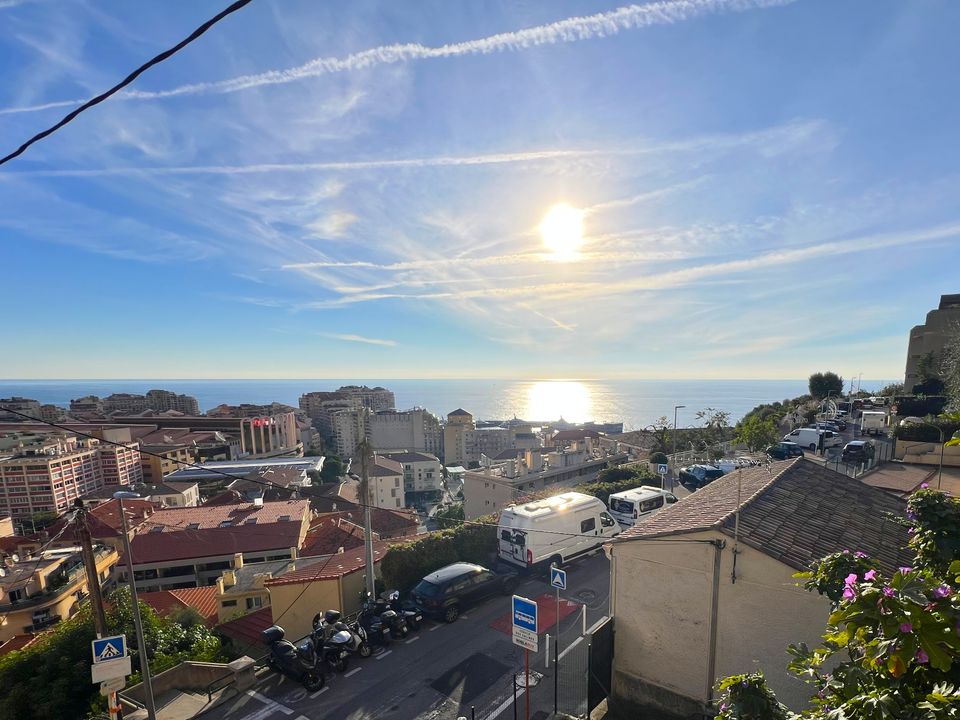 Lejlighed i Cap-d'Ail, Alpes-Maritimes - foto 4
