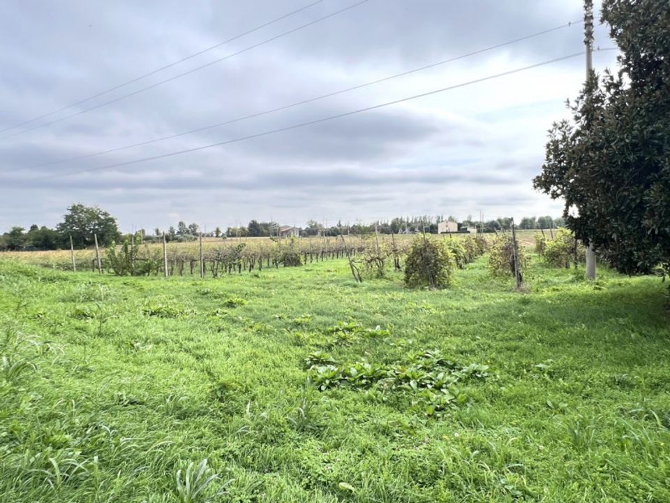 Villa a Pernumia, Padua - foto 4