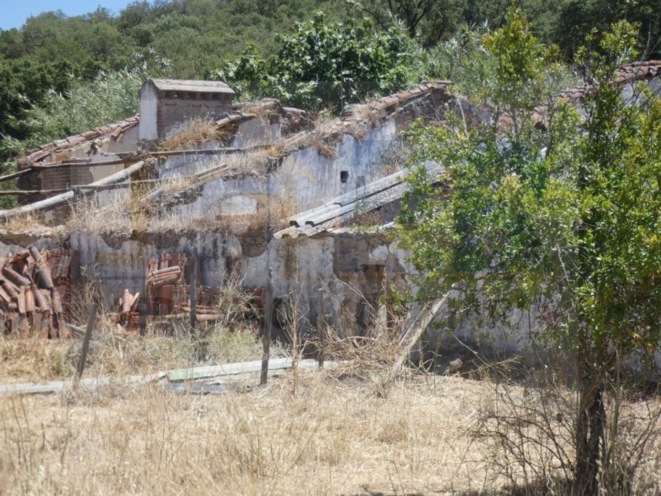 Farm i Terrugem e Vila Boim, Portalegre - foto 3