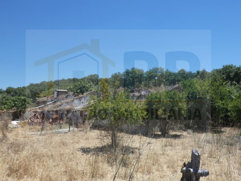 Farm i Terrugem e Vila Boim, Portalegre - foto 4