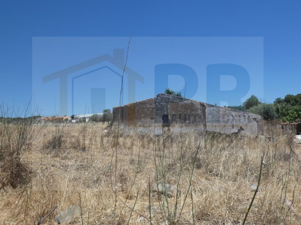 Farm i Terrugem e Vila Boim, Portalegre - foto 5