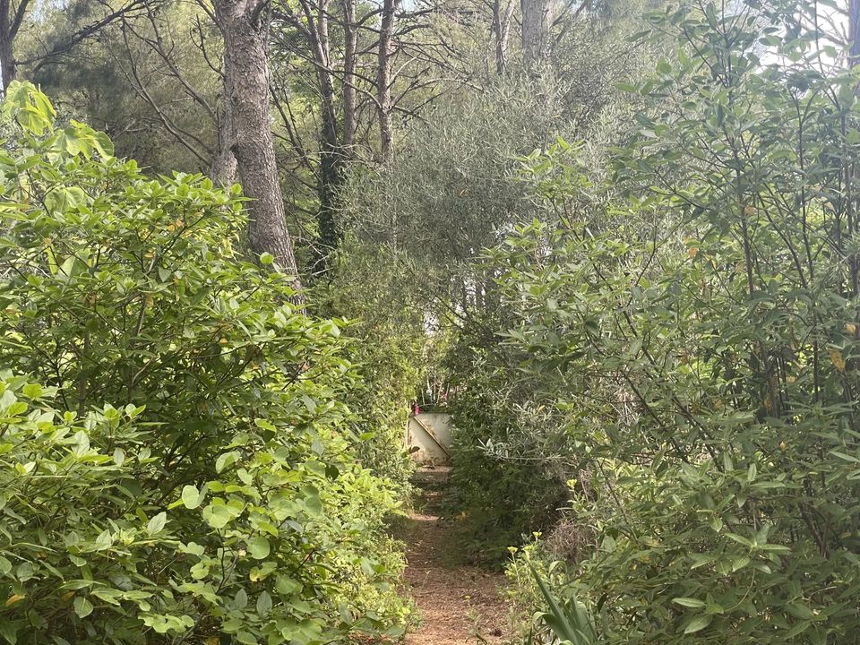 Villa i Sausset-les-Pins, Bouches-du-Rhone - foto 1