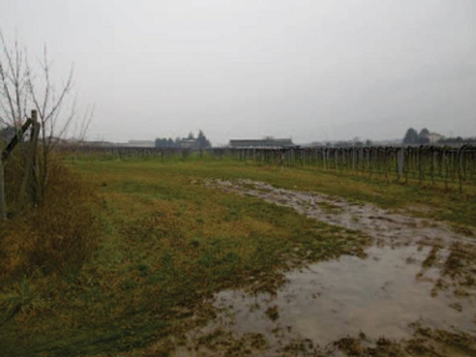 Helårsgrund i Pescantina, Verona - foto 5