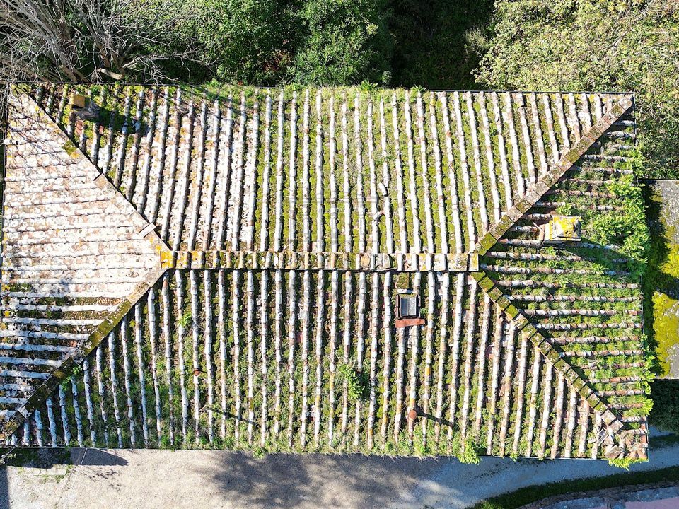 Villa i Capannori, Lucca - foto 3