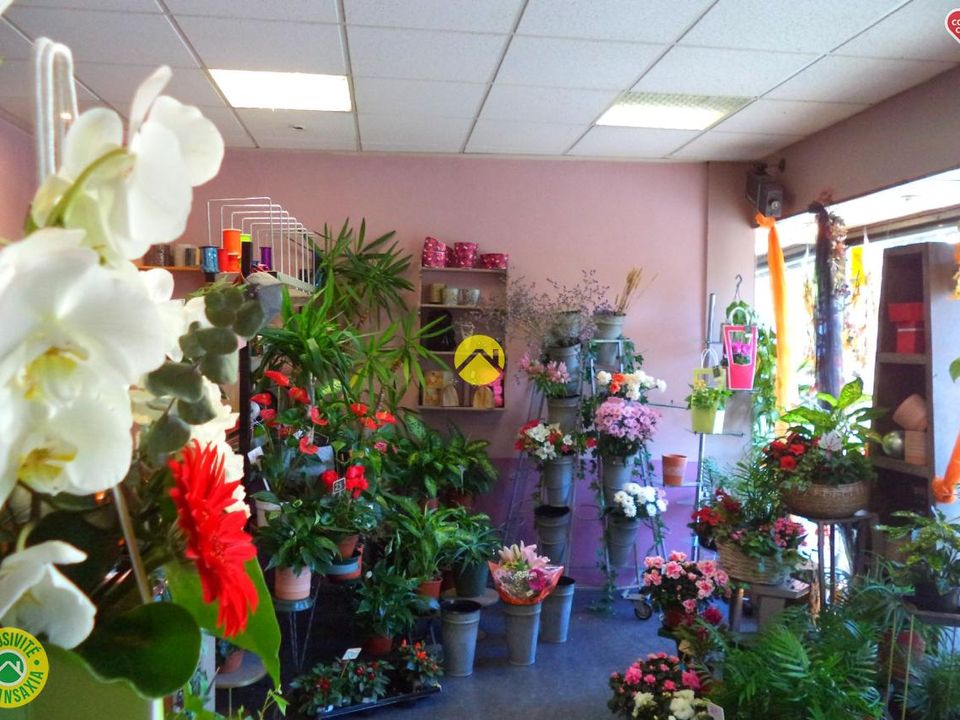 Leilighet i Neuvy-sur-Barangeon, Cher - bilde 4