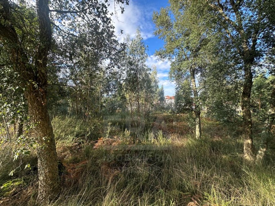 Helårsgrund i Barcelos, Braga - foto 4