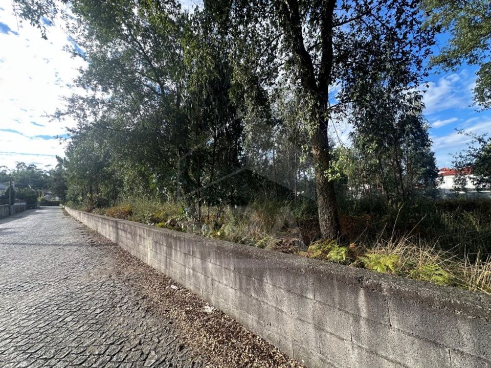Helårsgrund i Barcelos, Braga - foto 5