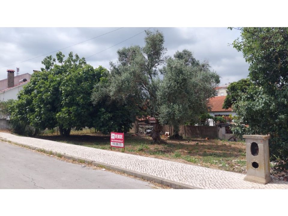 Helårsgrund i Entroncamento, Santarem - foto 1